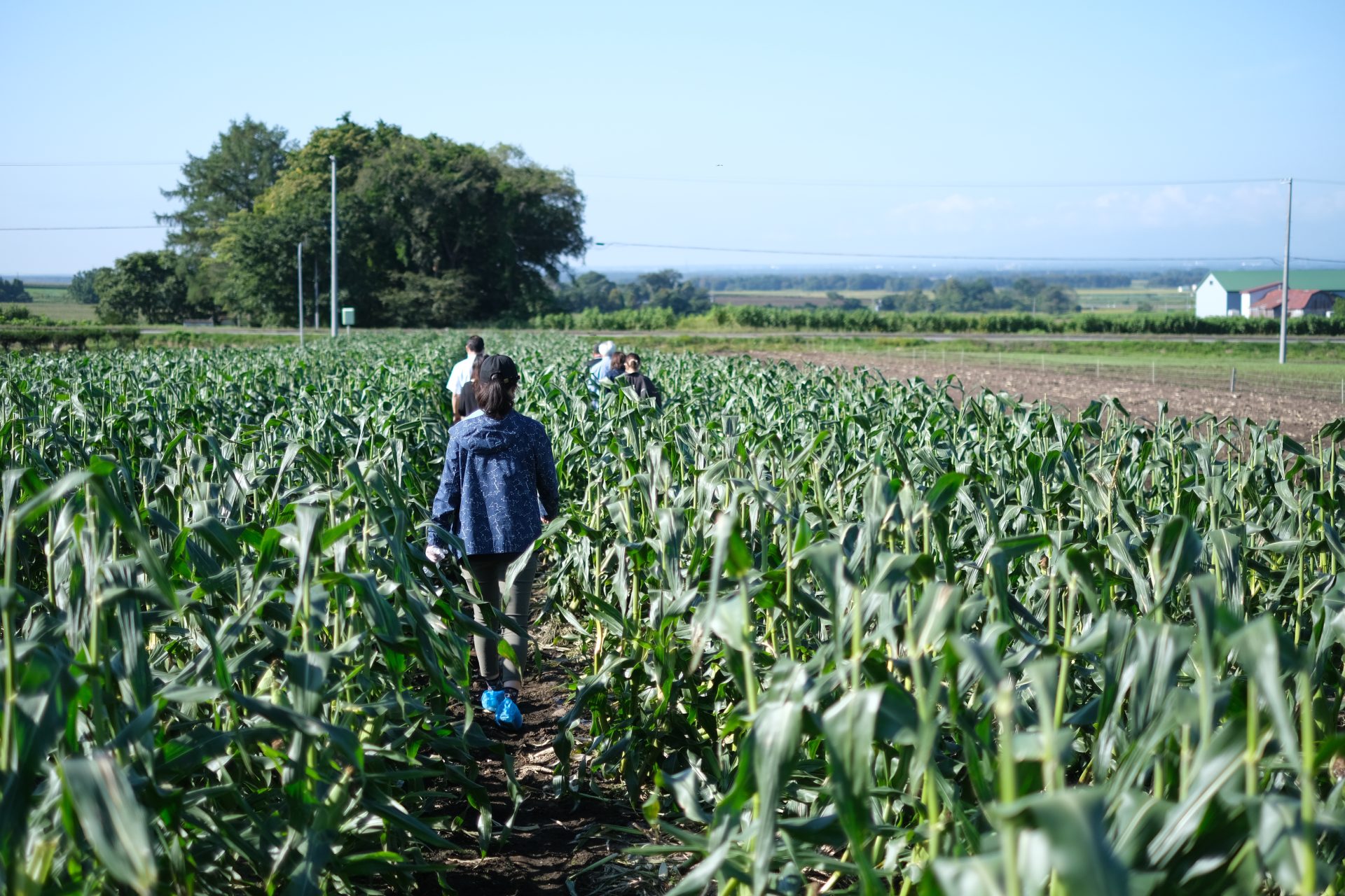 「泊まる」のが新しい！長沼町の遊び方。 スロウ日和｜心があったまる人・店・景色に出会える北海道のウェブメディア