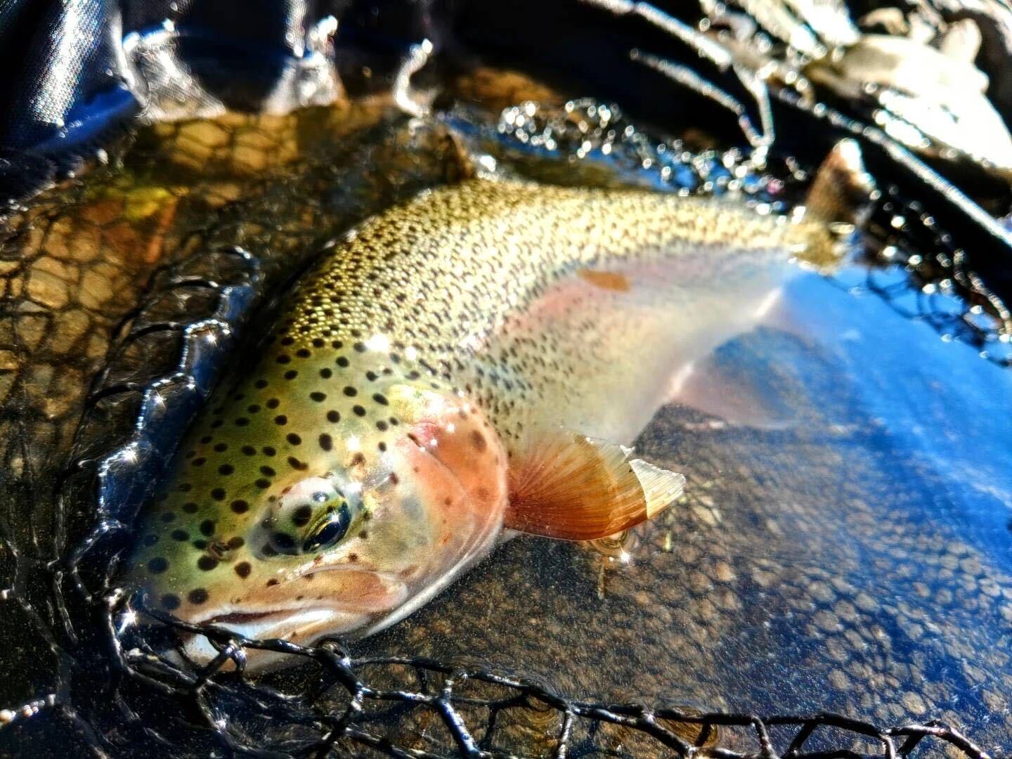 良い川が流れるまちへ〈園部峻久さん〉 スロウ日和｜心があったまる人・店・景色に出会える北海道のウェブメディア